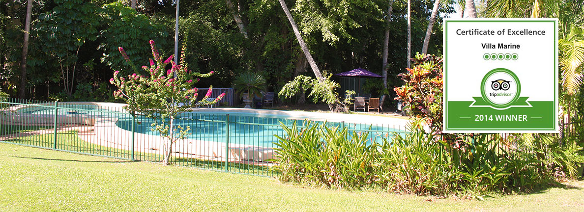 Our luxurious pool at Villa Marine