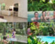 Villa Marine Cairns family apartment collage