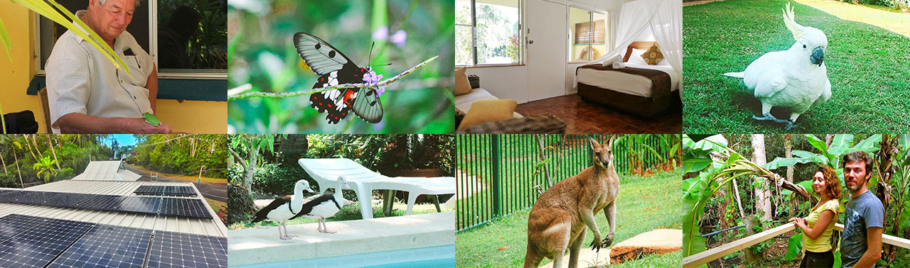 eco apartment collage 3