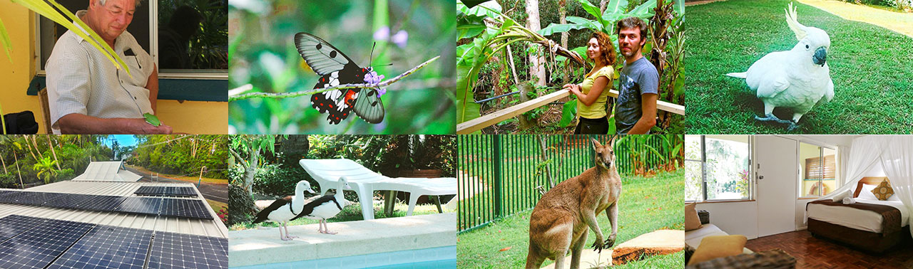 eco apartment collage 2